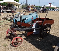 Inconnu (photo F. Mrugala, a Saint-Jean-de-Touslas en 2012) (2)